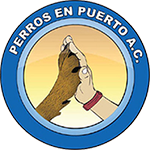 Perros en Puerto