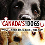 Canada's Guide to Dogs