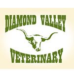 Diamond Valley Vet