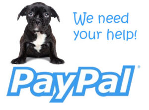 paypal need help