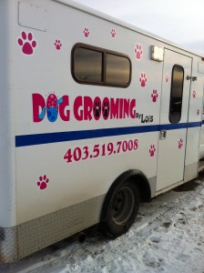 Dog Grooming by Lois