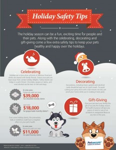 Holiday Tips